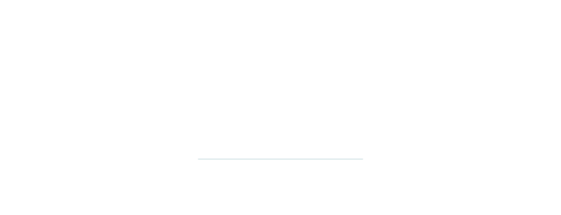 SecServiam - Private Digital Stewardship